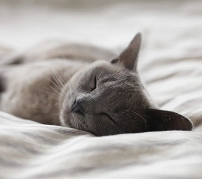 Улучшенная шумоизоляция